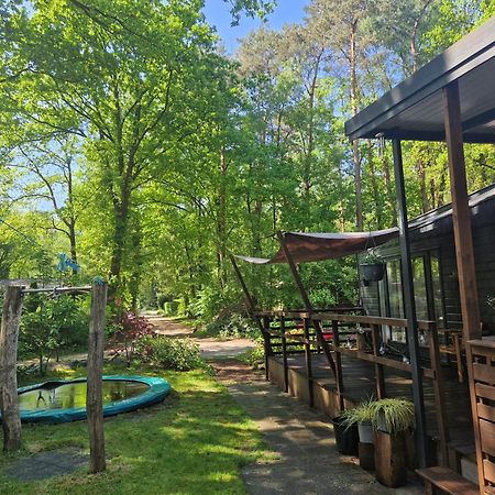 Heerlijk Huisje In Het Bos Op Chaletpark Kempenbos Diessen Eksteriør bilde