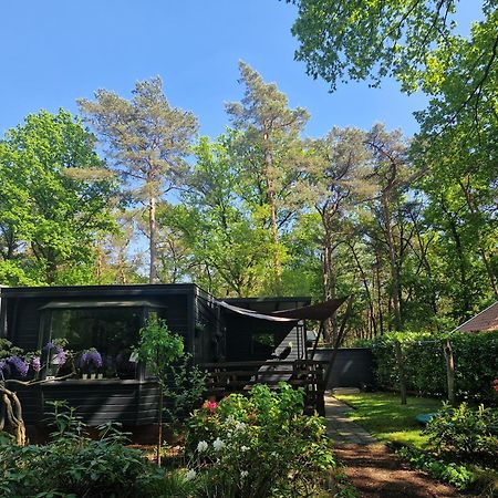 Heerlijk Huisje In Het Bos Op Chaletpark Kempenbos Diessen Eksteriør bilde