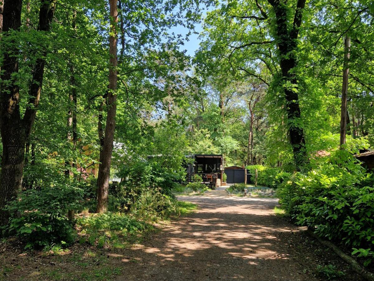 Heerlijk Huisje In Het Bos Op Chaletpark Kempenbos Diessen Eksteriør bilde