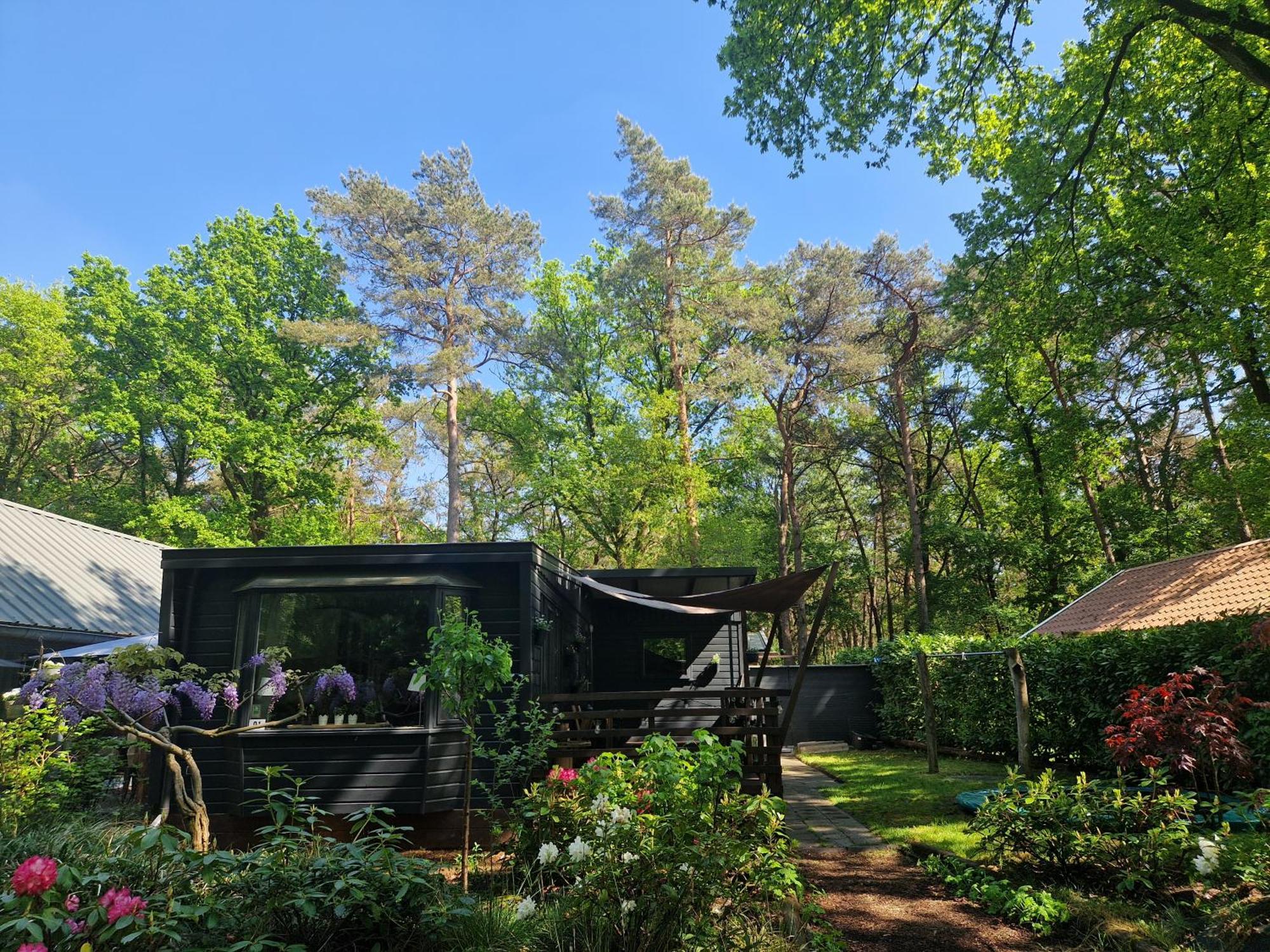 Heerlijk Huisje In Het Bos Op Chaletpark Kempenbos Diessen Eksteriør bilde