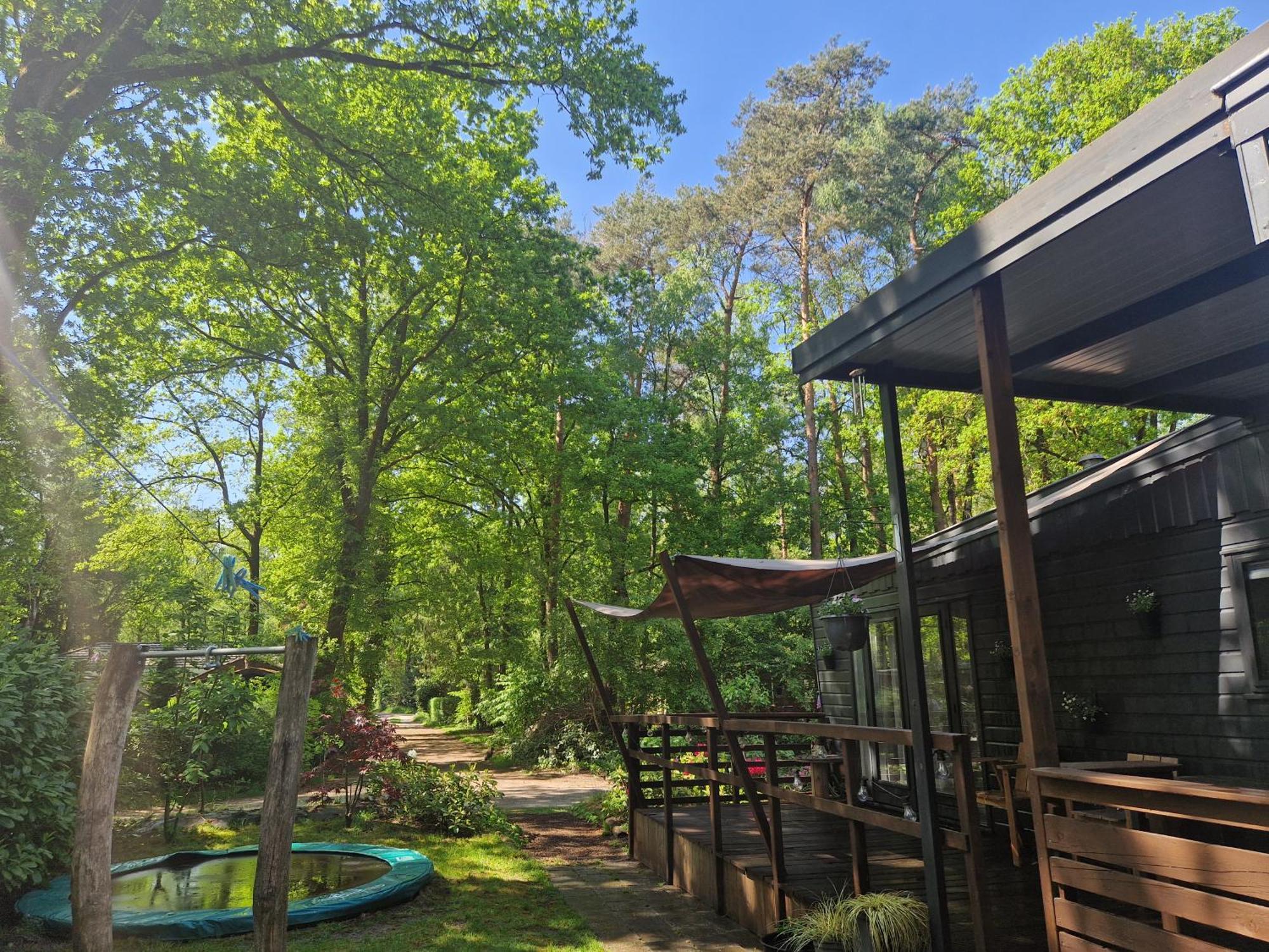 Heerlijk Huisje In Het Bos Op Chaletpark Kempenbos Diessen Eksteriør bilde